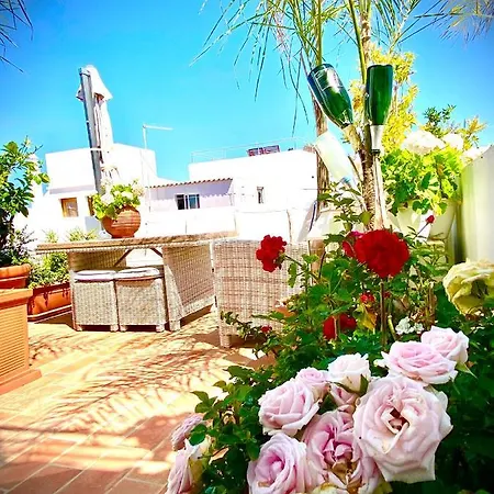 Zenit B&B