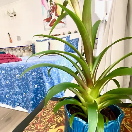 Zenit Olhao B & B With Sea View Rooftop Terrace 4*