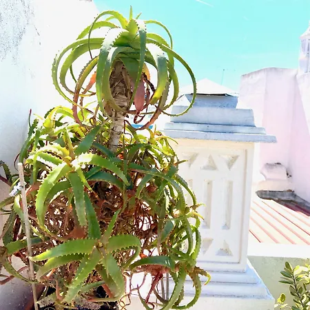 Zenit Olhao B & B With Sea View Rooftop Terrace Отель типа 
