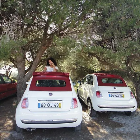 Oda ve Kahvaltı Zenit