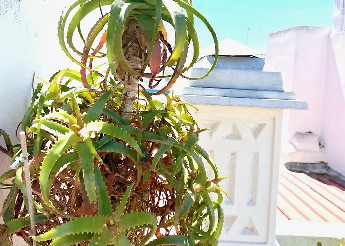 Zenit Nocleg ze śniadaniem